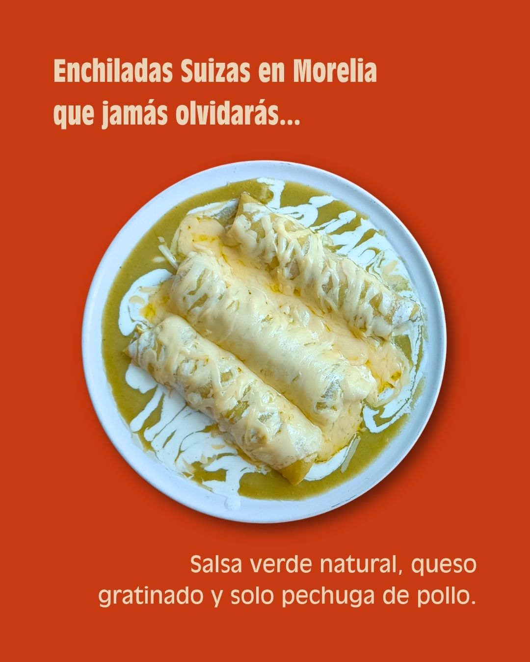 Platillo de La Vianda con salsa verde natural, queso gratinado y pechuga de pollo, considerado por muchos como una de las mejores Enchiladas Suizas en Morelia